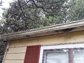 Gutter repair photo 2