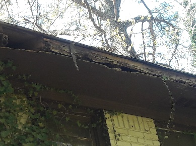 Fascia photo 1