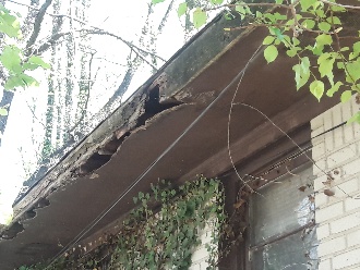 Fascia photo 2