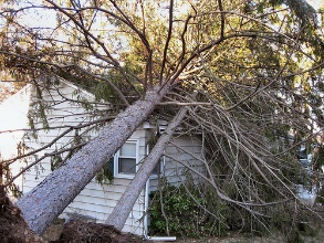 Insurance claim assistance photo 9