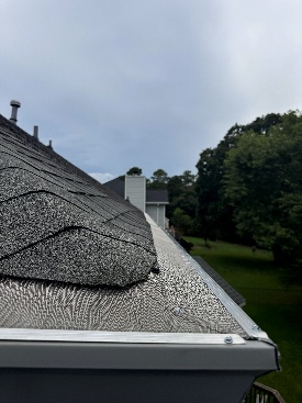 Mesh photo 3