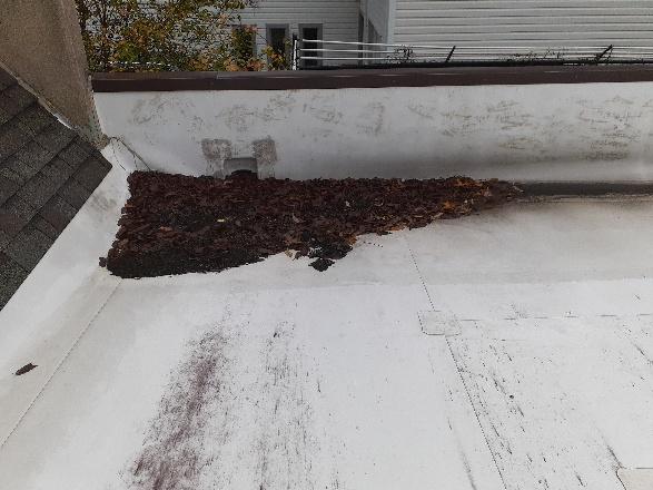TPO commercial roofing photo 4